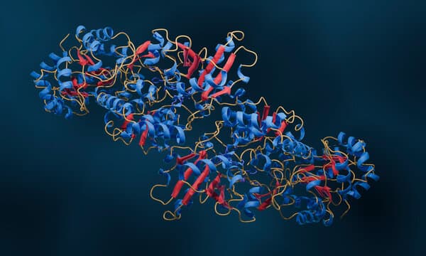 GSTM1 has been linked to hypertension, CKD, and related diseases across the life span