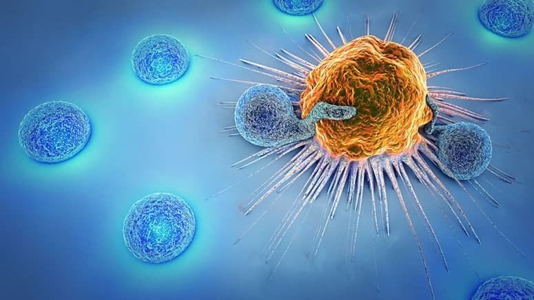 Reprogramming Tumor Microenvironment for Improved Immunotherapy Responses