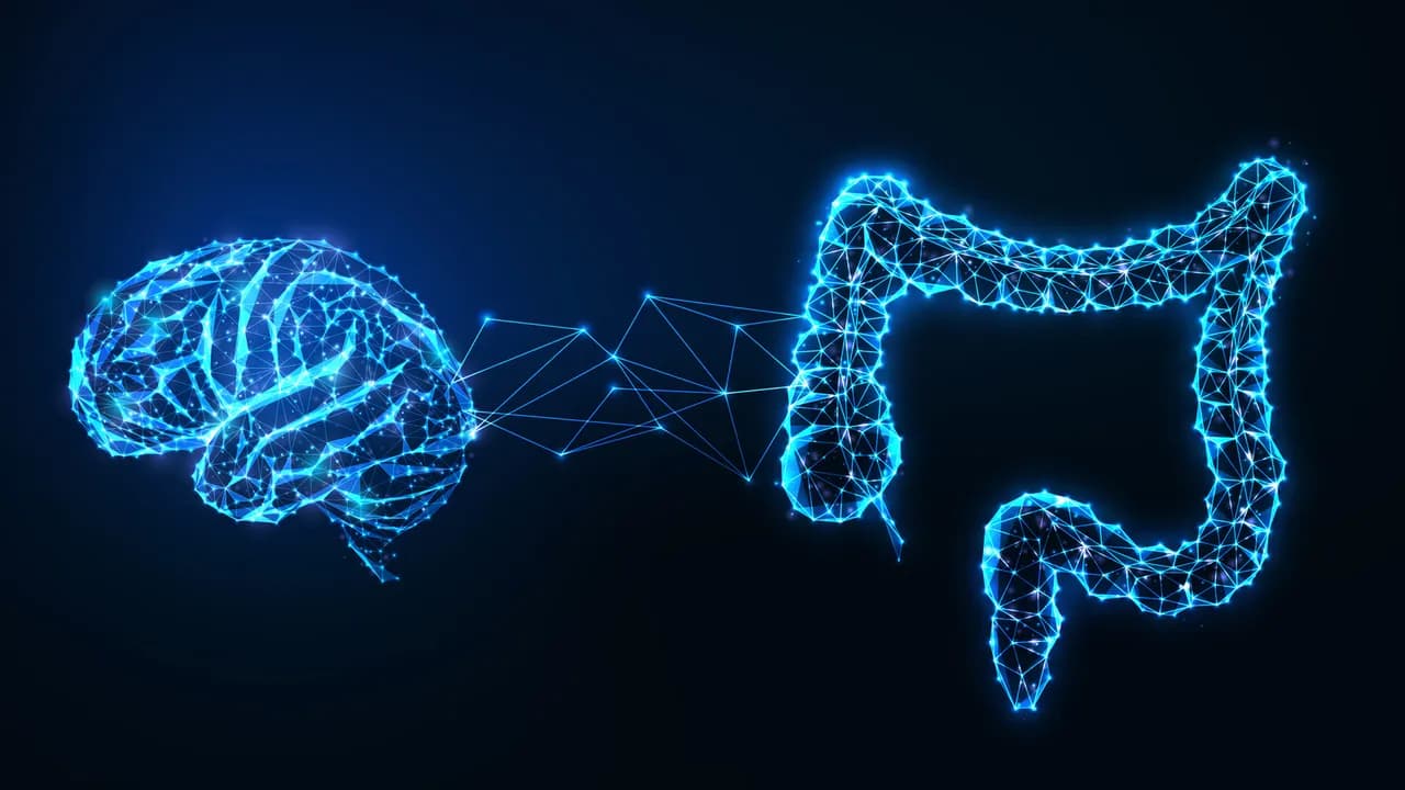 Can Constipation Treatment Alleviate Depression? Exploring SHTB and the Gut-Brain Axis