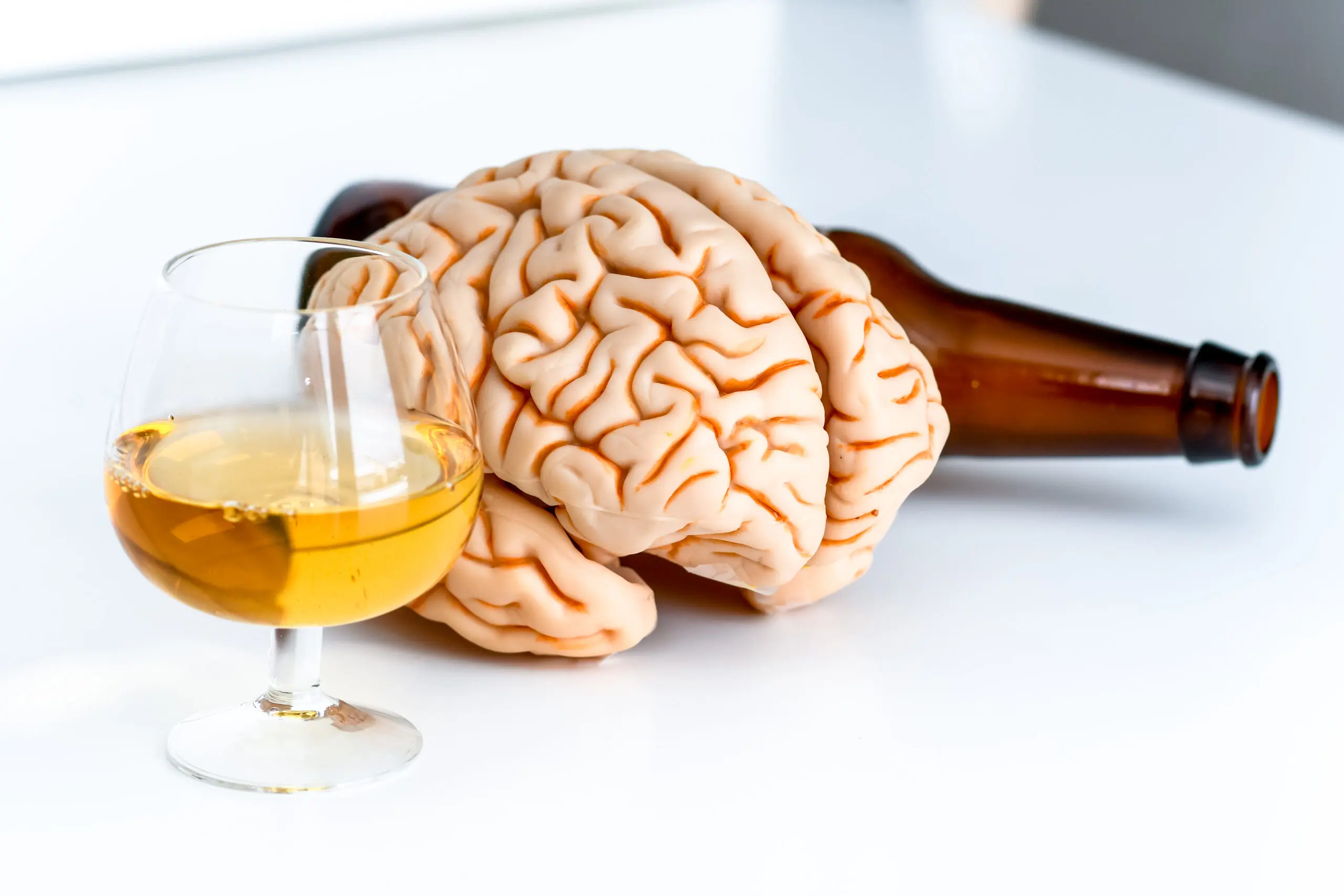 Neuron Mapping May Provide Insight on Effectiveness of Alcohol Addiction Recovery Methods