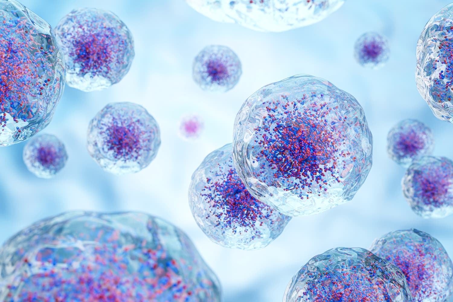 How does the early-life Microglial cell cause cognitive defects in adults if it was planted healthily during cognitive development?
